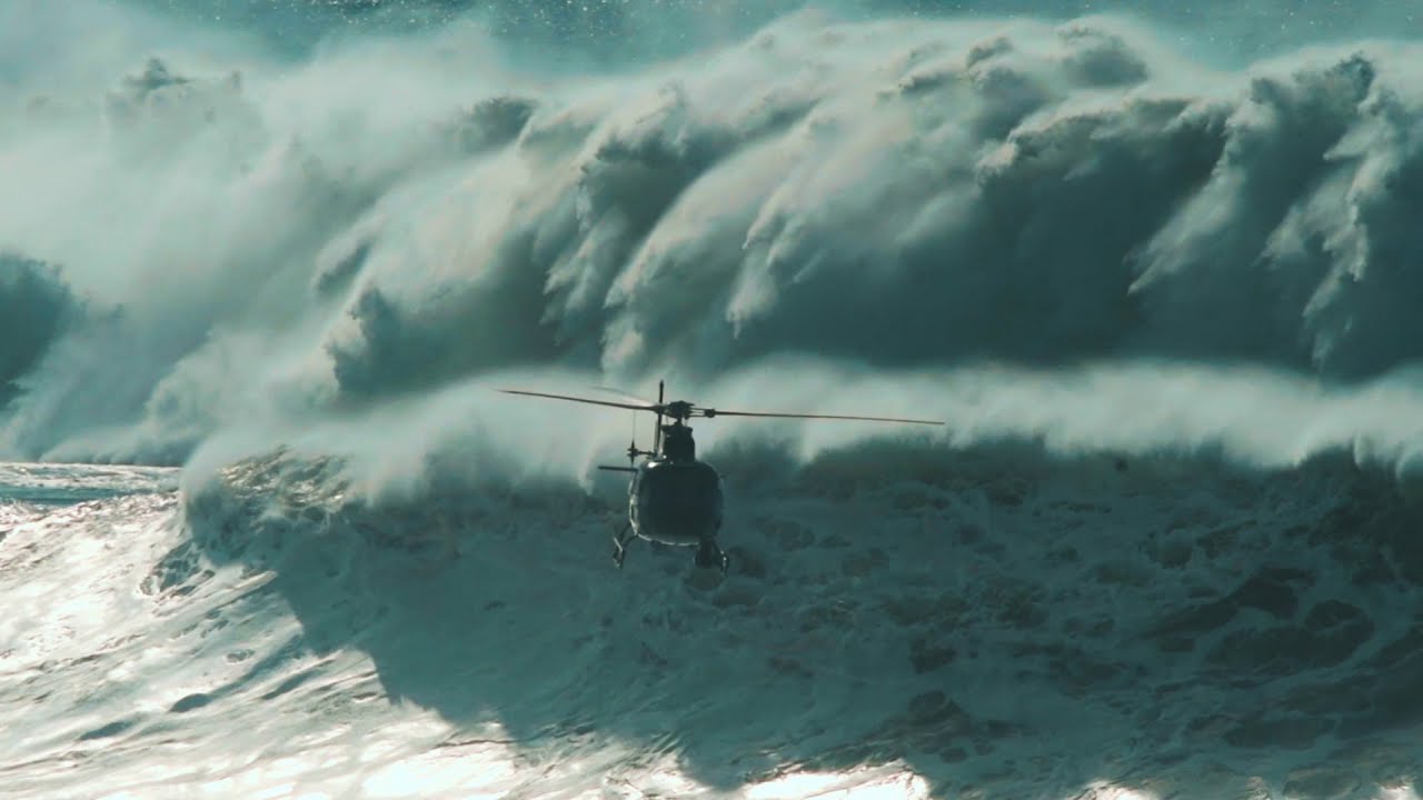 Mavericks Metal Bird