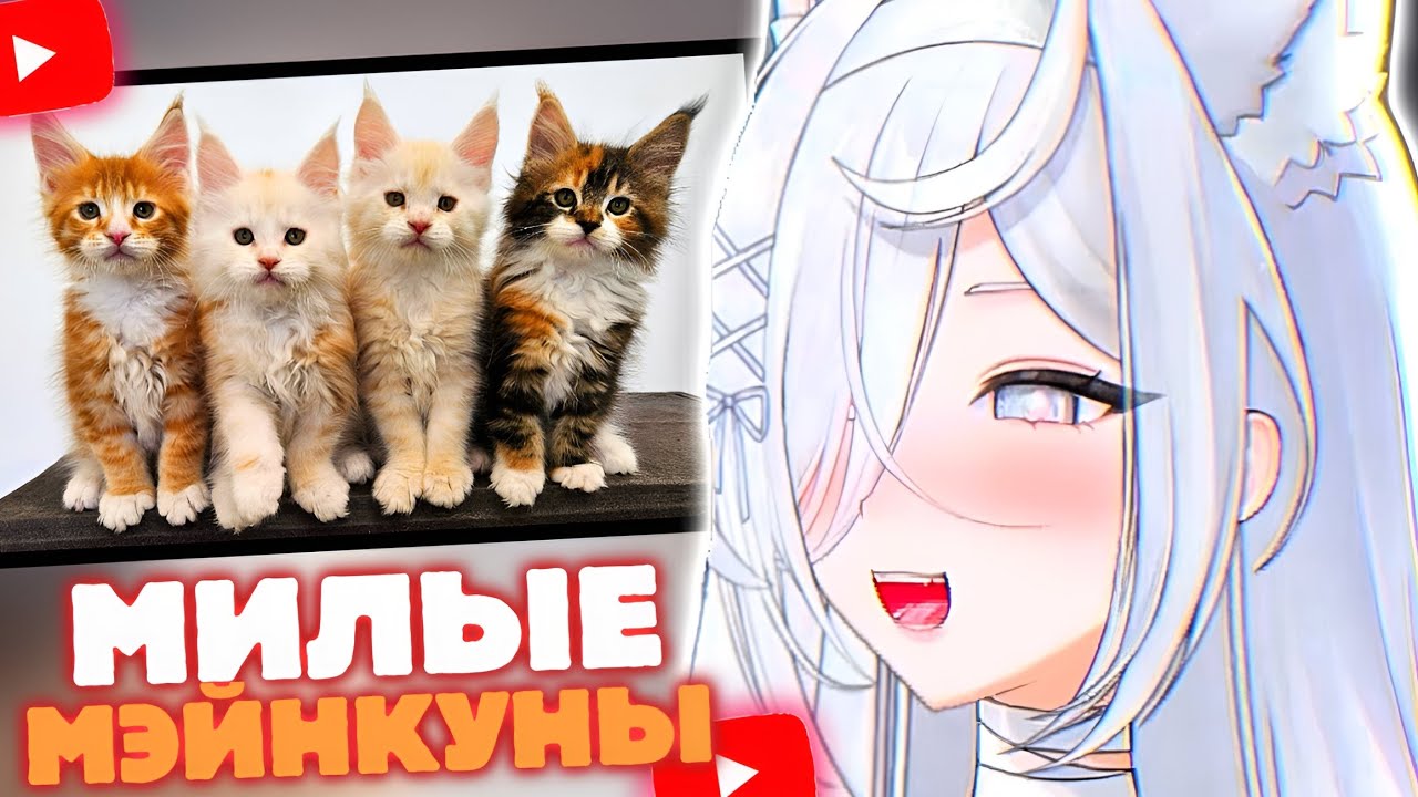 ВИТУБЕРША Айви СМОТРИТ: 100 Дней рост котиков Мэйнкун