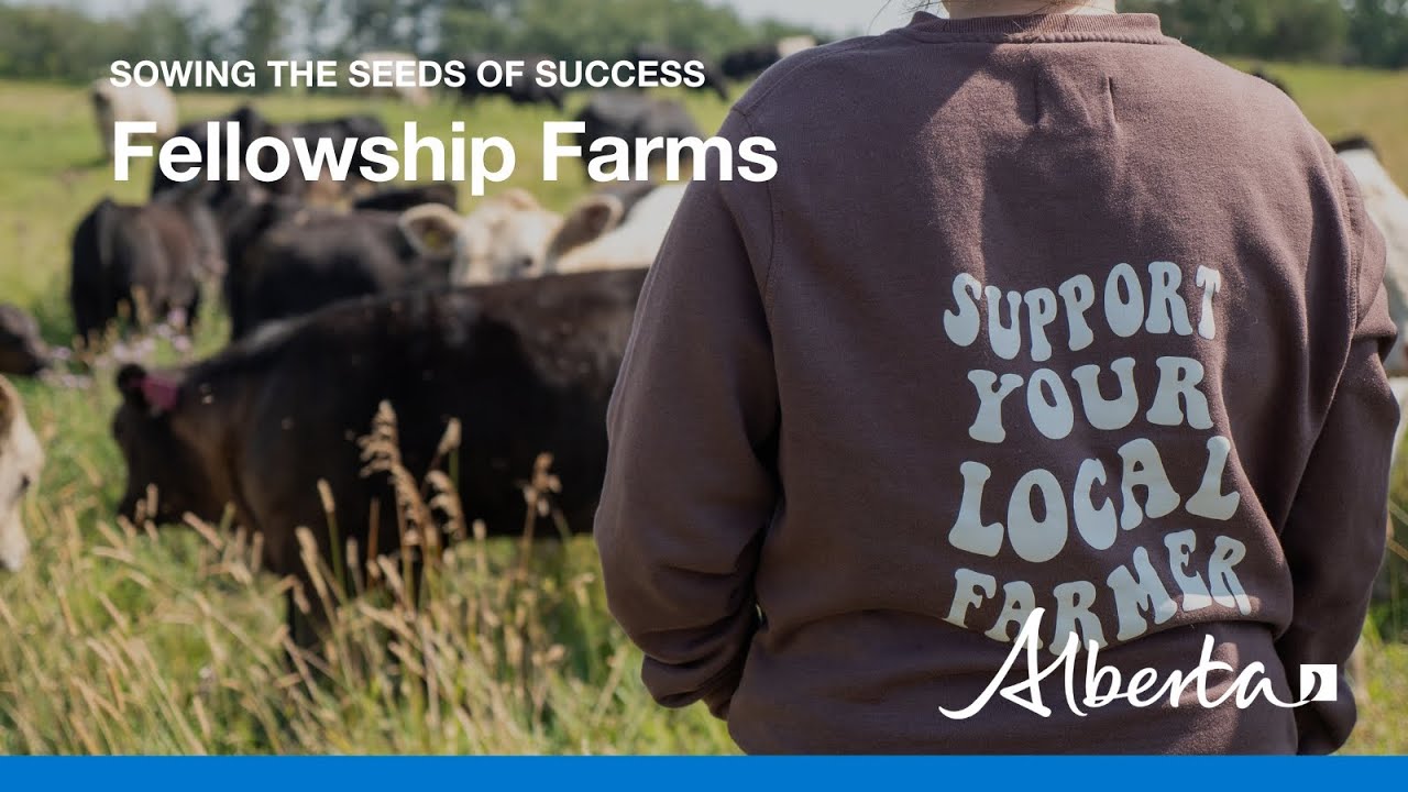 Sowing the seeds of success: Farm-to-table beef producers