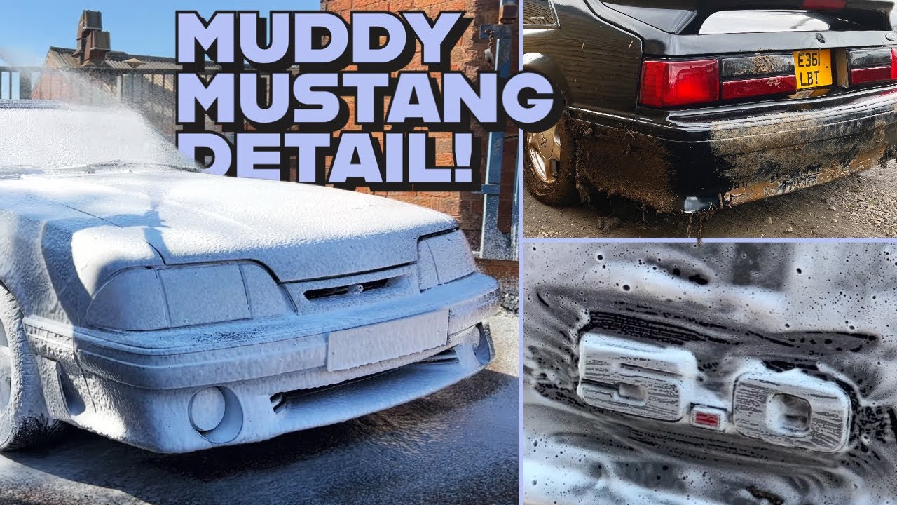 NEGLECTED Mustang gets a Deep Clean after getting STUCK IN MUD! - Exterior Detail Transformation!
