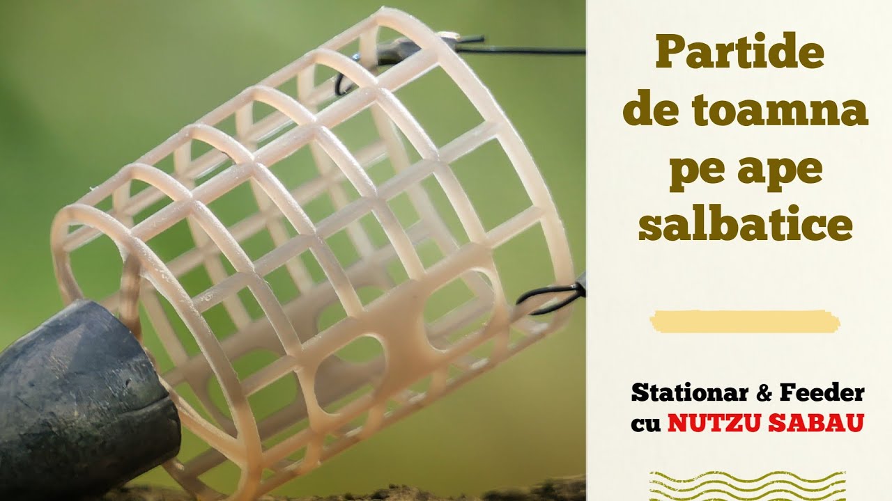 Partide de toamna pe ape salbatice