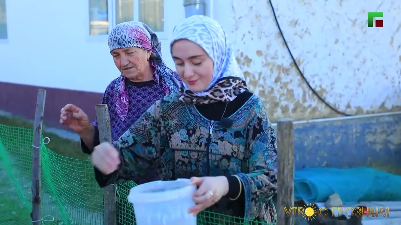 УТРО В ГОРНОМ СЕЛЕ ЧЕЧНИ ХИДИ-ХУТОР