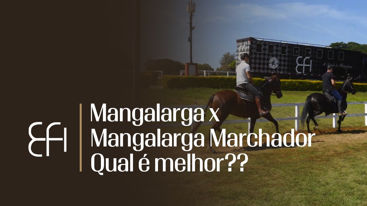 Mangalarga x Mangalarga Marchador