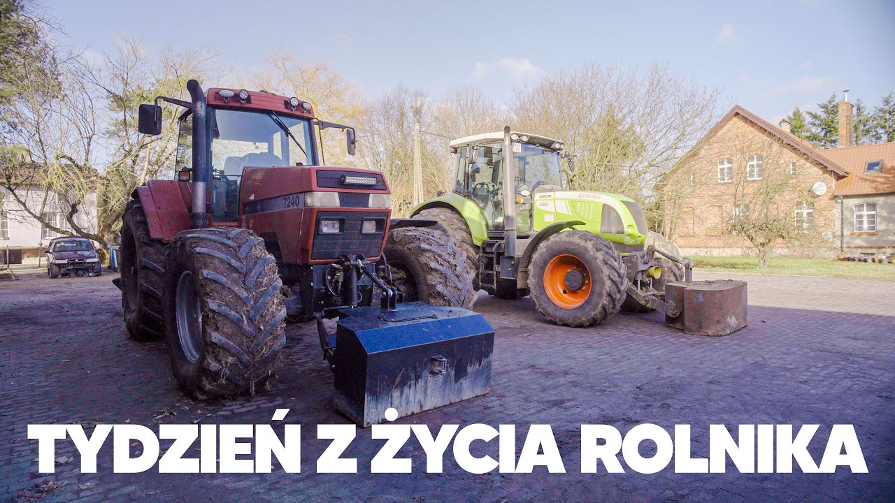 Awaria Traktora okazała się Łatwa do usunięcia. Zbyt mokro na próbki glebowe. Załadowaliśmy Rzepak.