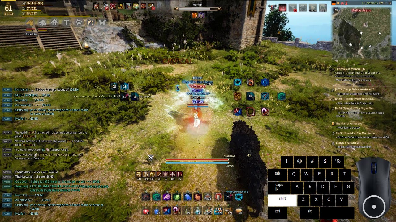 Black Desert Online - Tamer combo example (post CC/PvP changes)