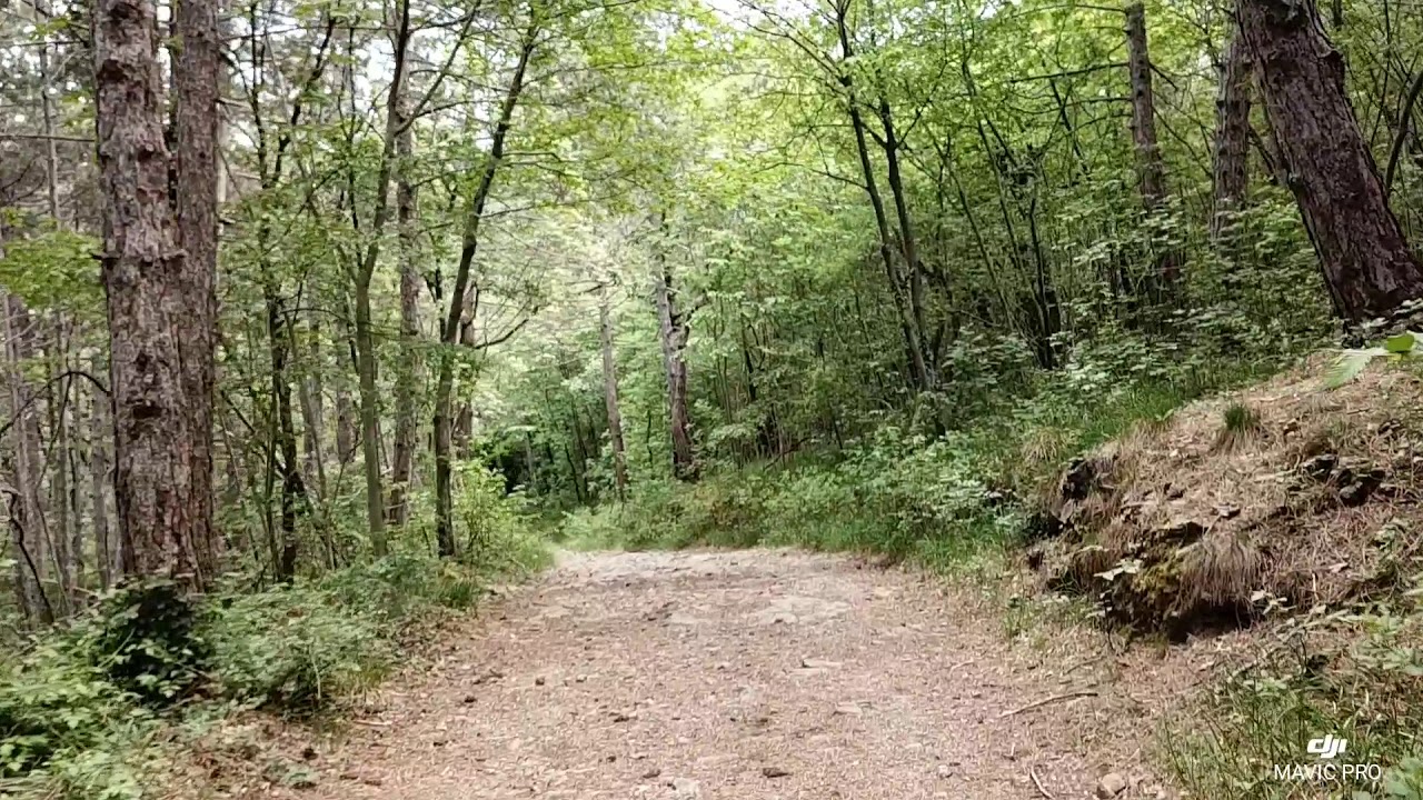 Puntatina al Monte Lanaro
