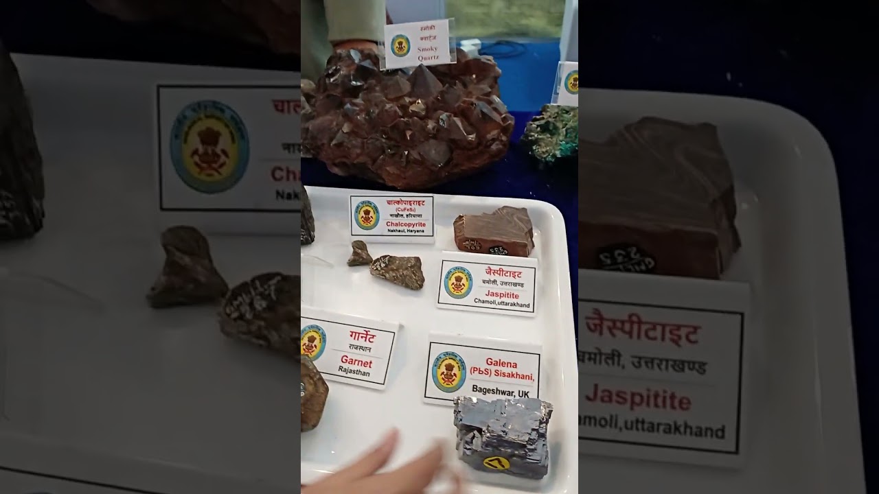 IISF 2025 II FOSSILS AND MINERALS