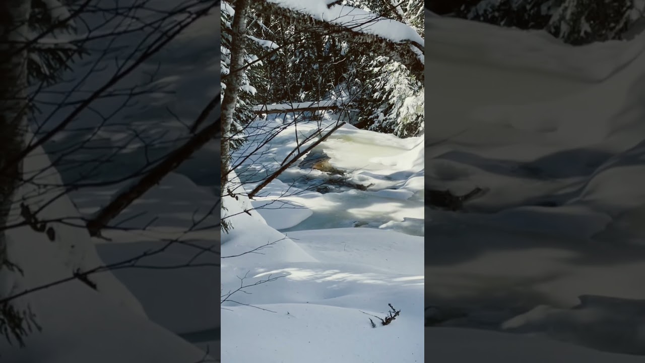My Last Winter Hike For 2024 - Mt Jackson NH #hiking #wintersurvival #snowshoe #mtjackson