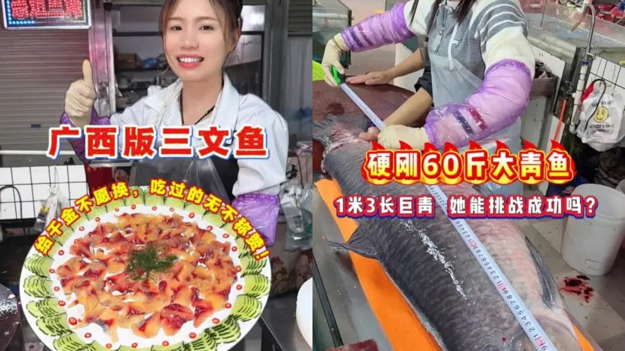 广西版三文鱼，吃过的无不称赞！ 广西版三文鱼，给千金不愿换，吃过的无不称赞！，硬刚60斤大青鱼 硬刚60斤大青鱼，1米3长巨青，她能挑战成功吗？#大青鱼处理手法 #杀鱼高手 #起鱼鳞技术 #广西鱼生