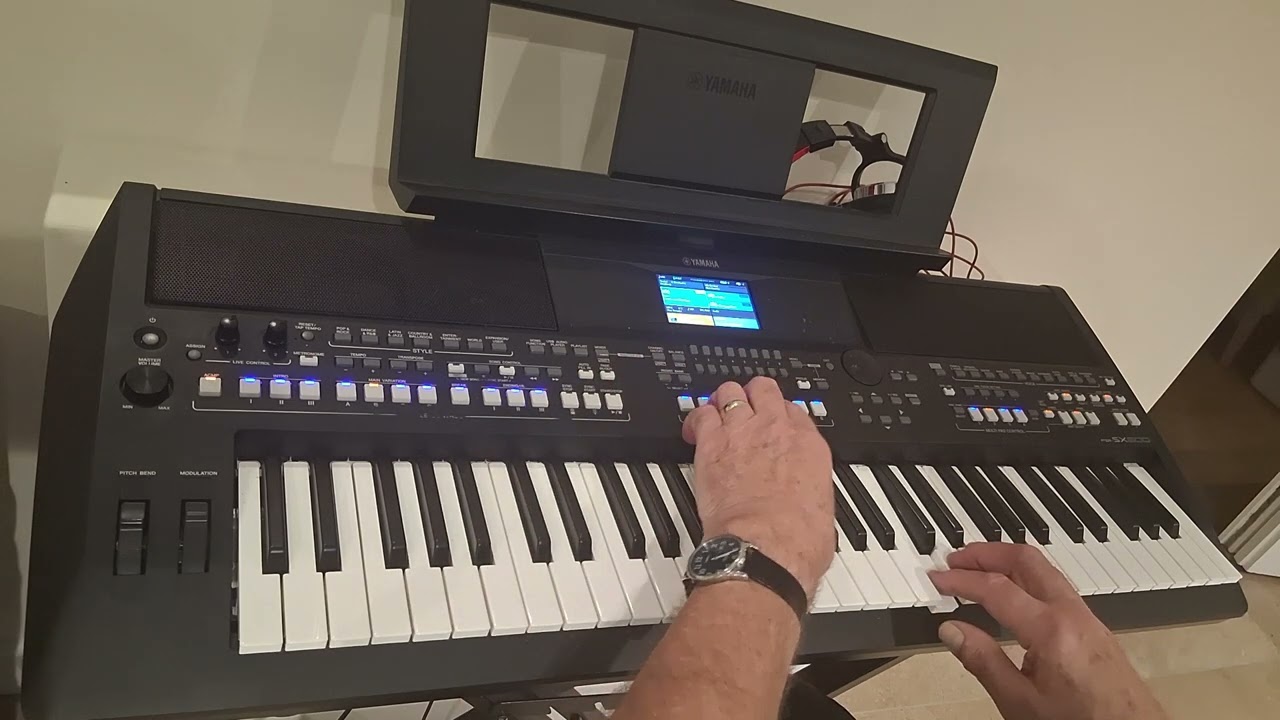 Morricone  - La Califfa (cover) on Yamaha sx600 