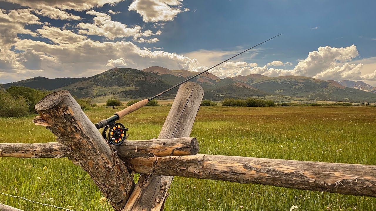 A Day Out at Colorado's Teter-Michigan Creek State Wildlife Area