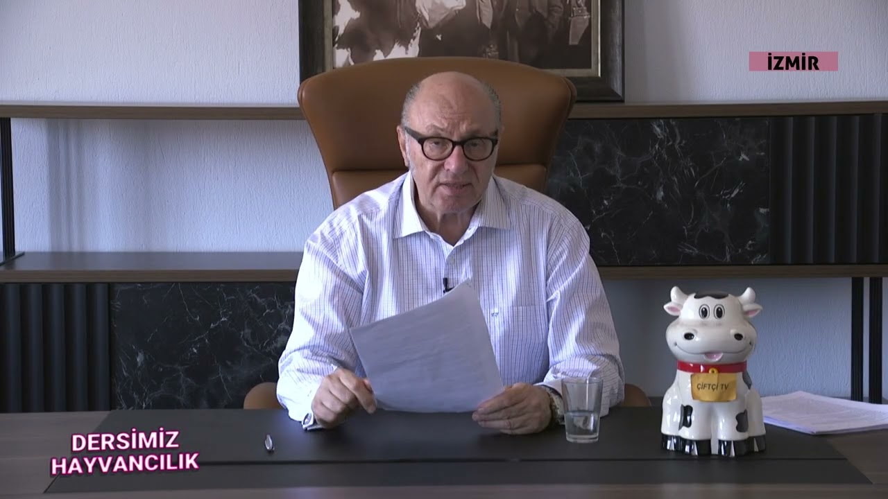 Süt Yağı Düşüklüğü, Karaciğer Apsesi ve Buzağı İshalleri: Aynı Hatanın Sonuçları. Tahir Yavuz