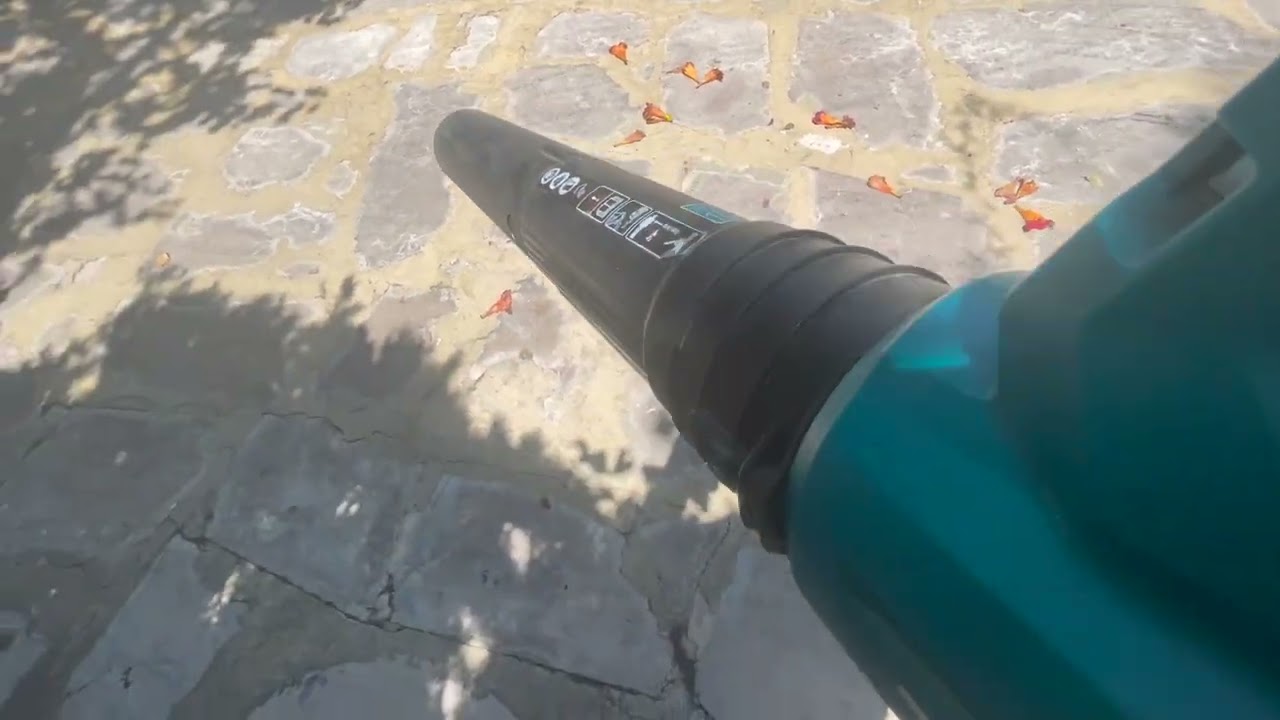 Cordless leaf blower in action