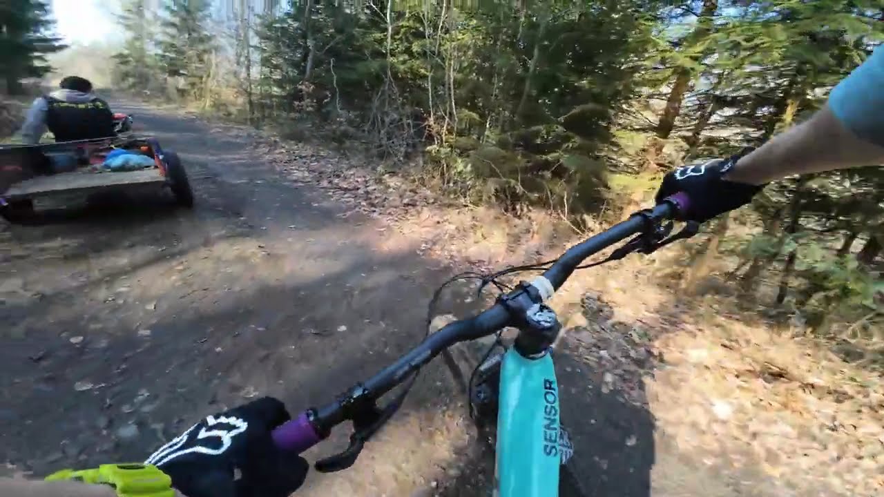Spadané stromy | MTB