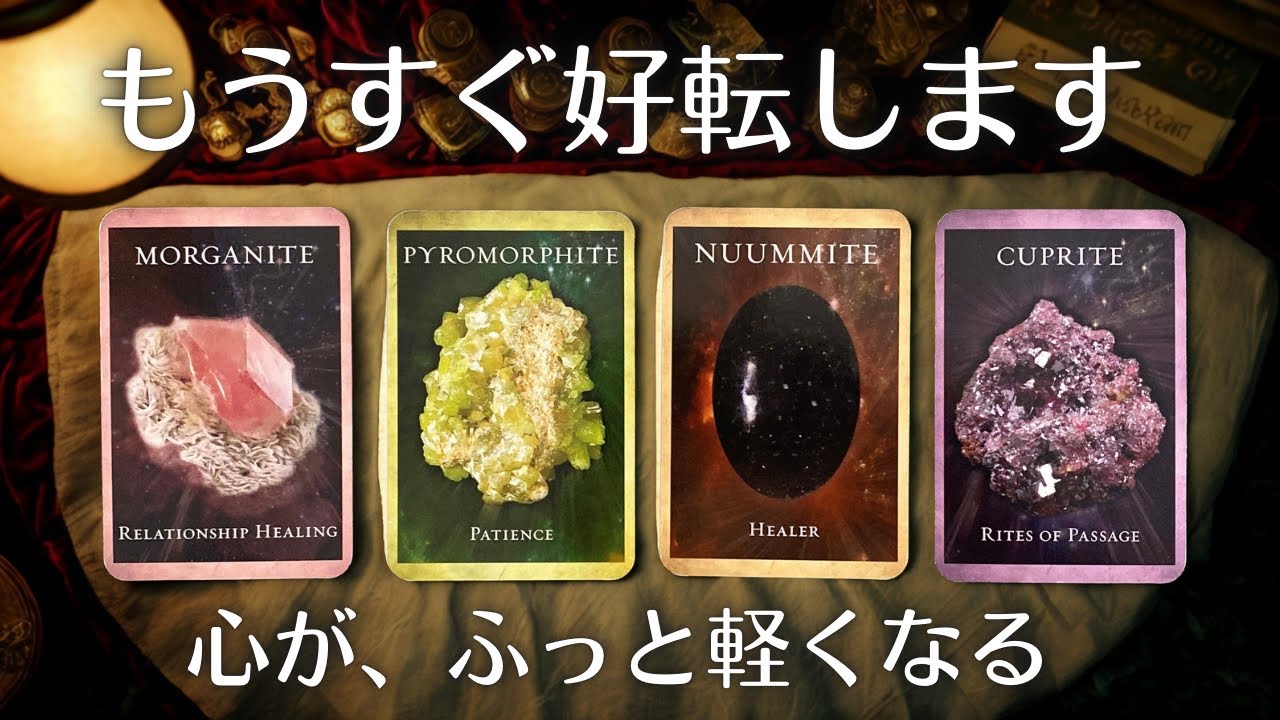🕊️不安なあなたへ。カードが教える「今あなたに必要なメッセージ」