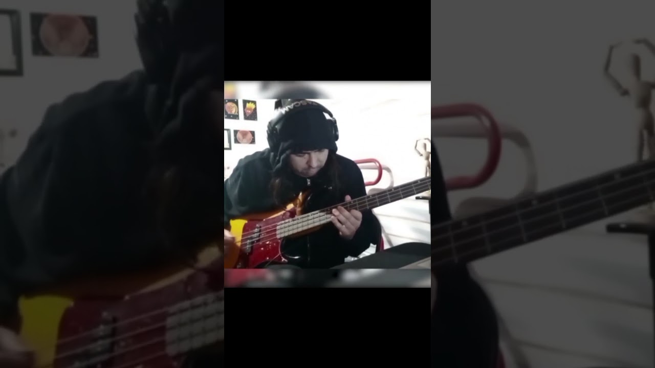 Tool - Schism/coverbass #tool #lateralus #schism #rock #metal #metalprogressivo #music #coverbass