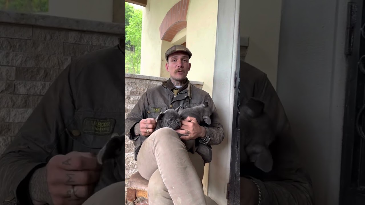 Come insegnare al cane a stare da solo in casa? Scoprilo insieme a noi☝🏻
