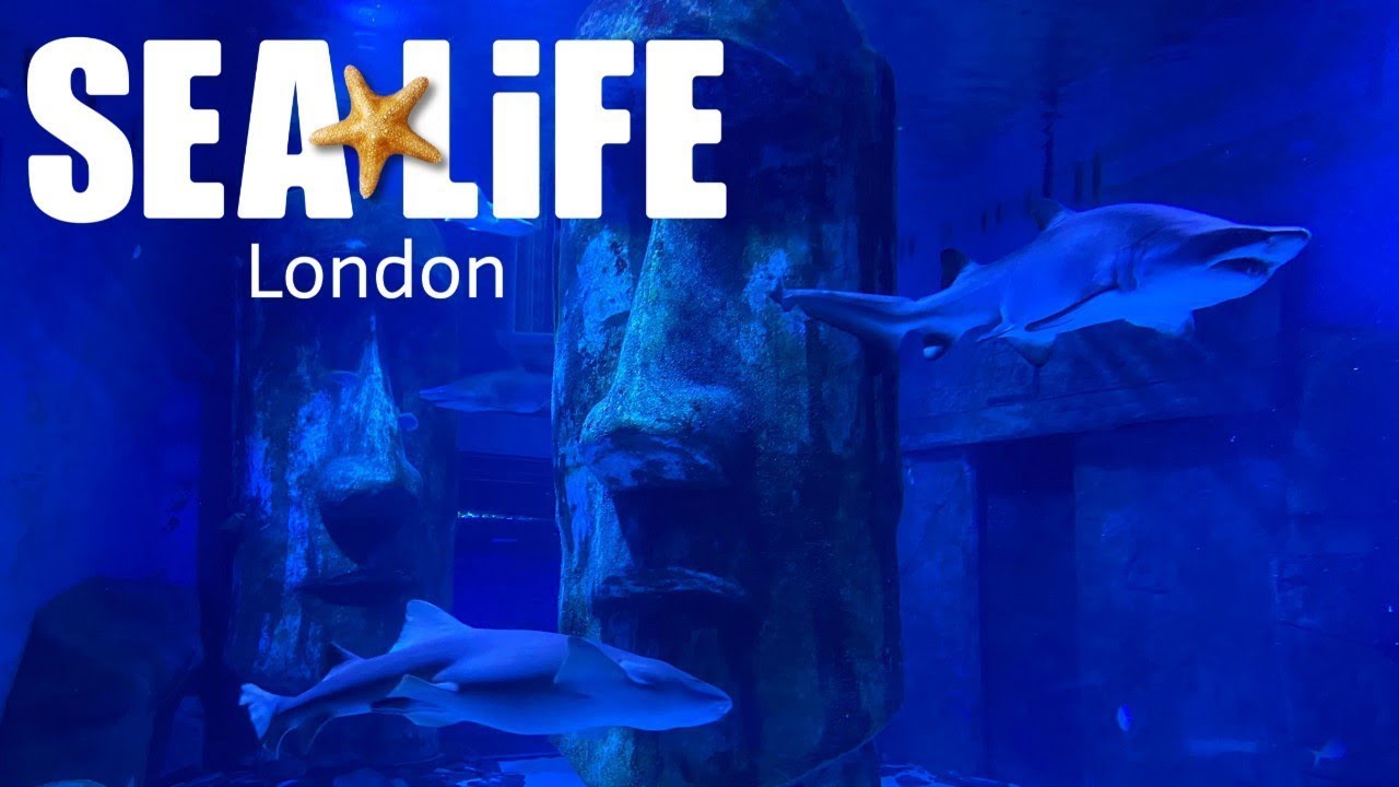 Dive into Wonder: Unveiling the Spectacular SEA LIFE Centre London Aquarium in the Heart of London