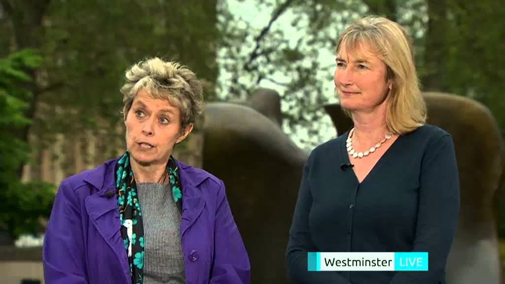 Is the gay marriage issue ripping the Tory Party apart?