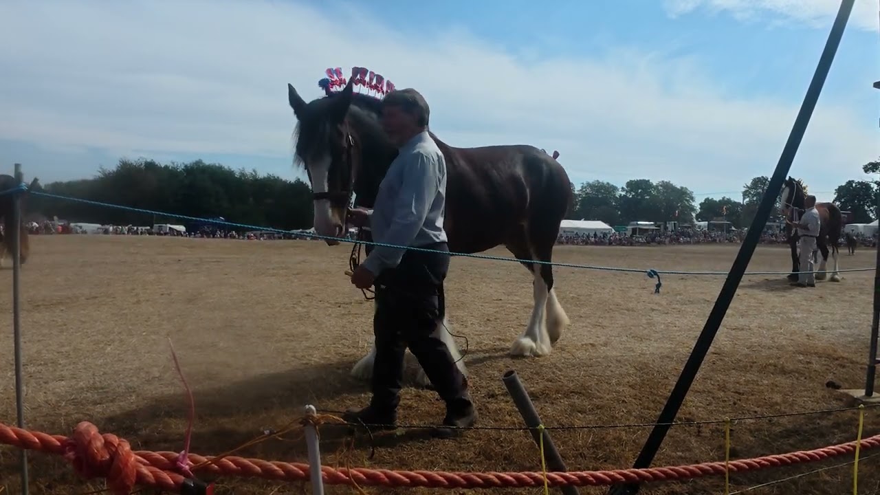 Heavy Horses Shrewsbury Steam Rally 2025