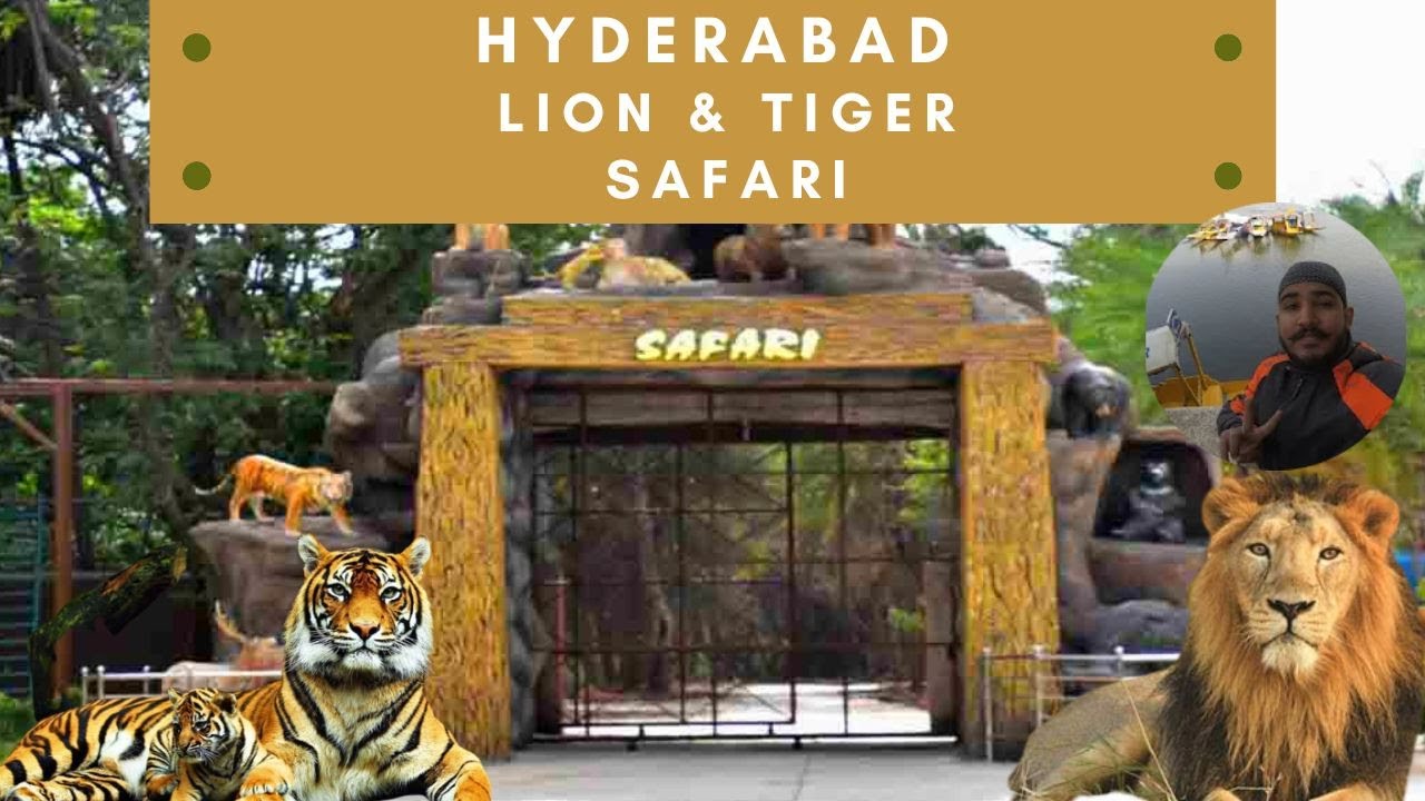 Hyderabad Zoo Park | Lion Safari | Tiger Safari | Bear Safari | Bison safari | Wandering Joshi