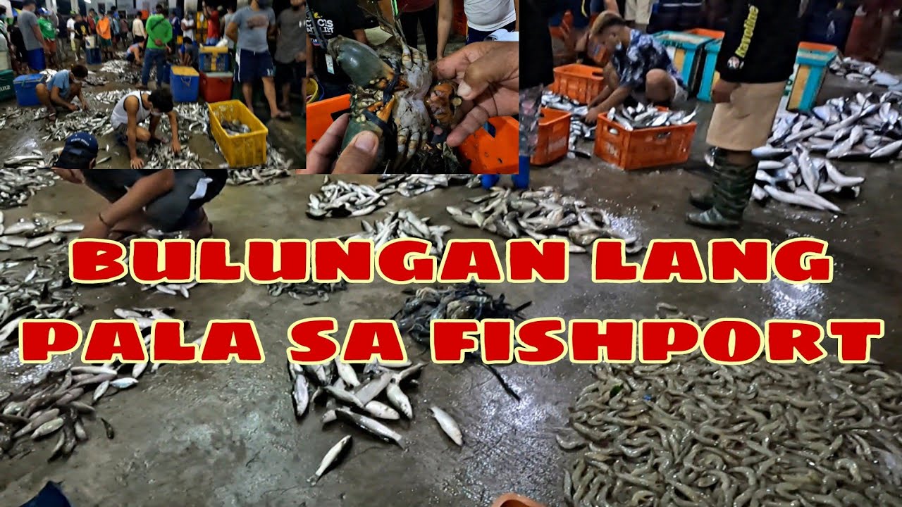 Consignacion...Masantol Fishport.. Bulungan... #202