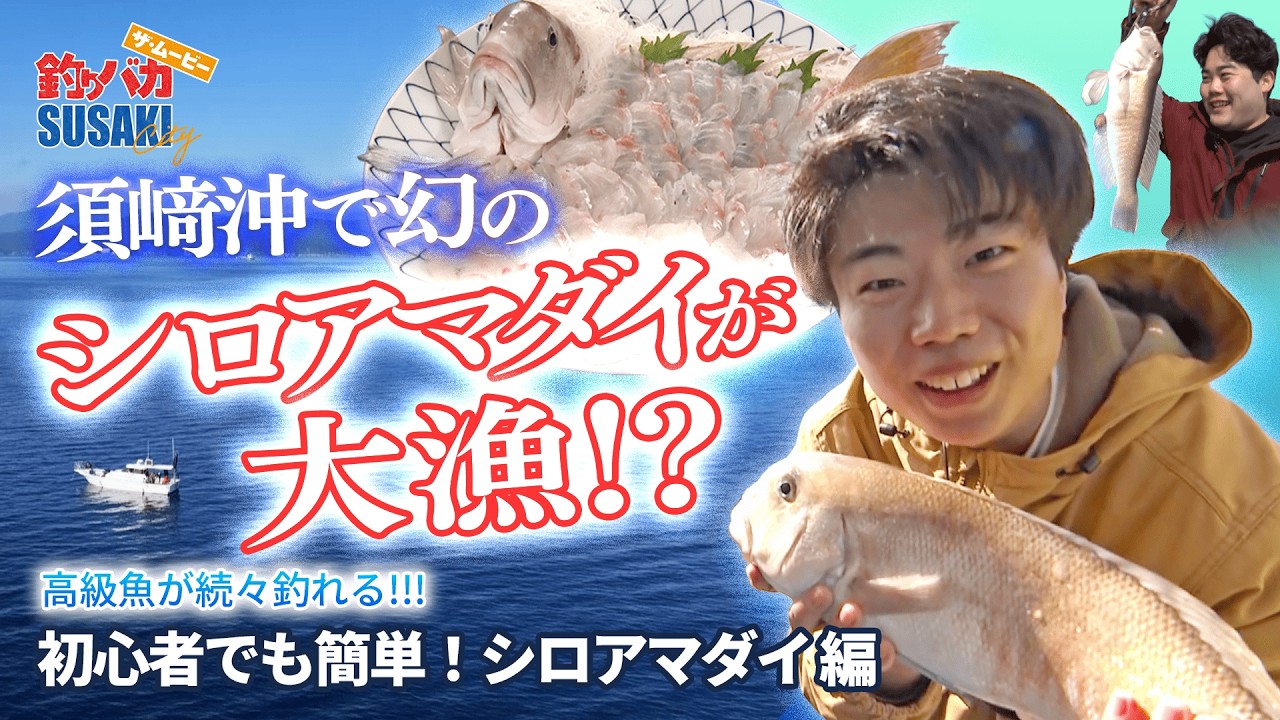 【1匹数万円!?】須崎沖で幻のシロアマダイが大漁！ 初心者でも次々釣れる！ in 高知須崎| 須崎釣りバカ ザ・ムービー