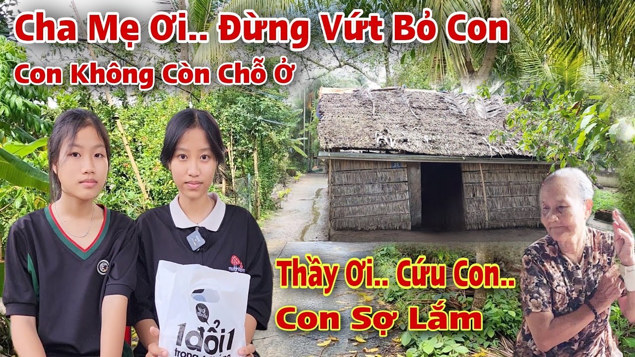 Cha Mẹ Hối Hận - 