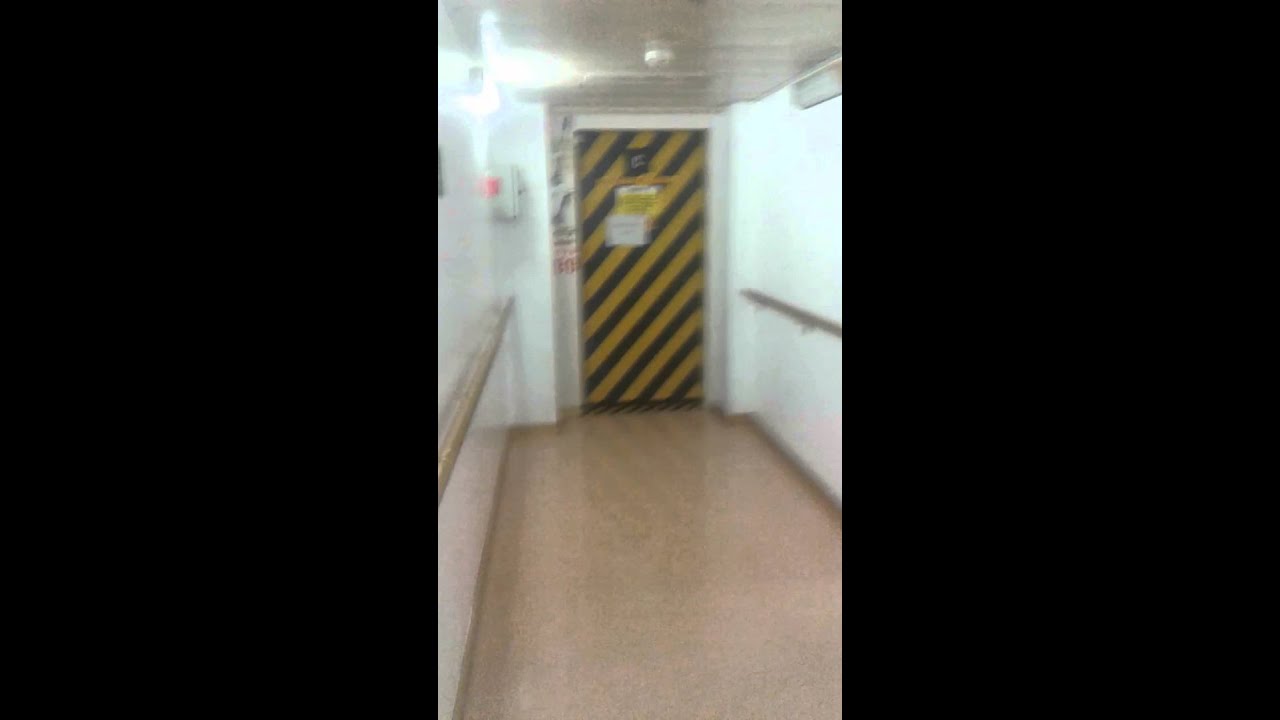 Zuiderdam Crew Cabin