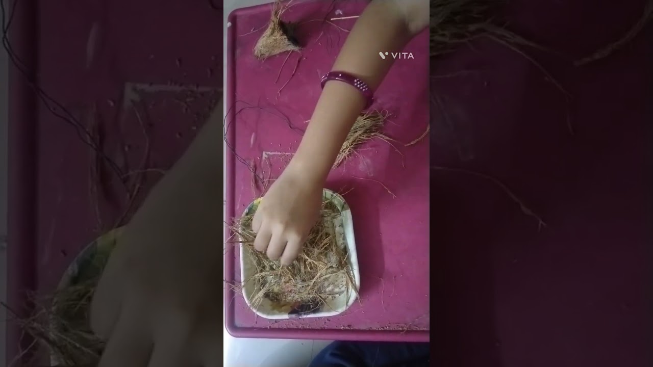 How to make broom stick with coir | Diy | own idea