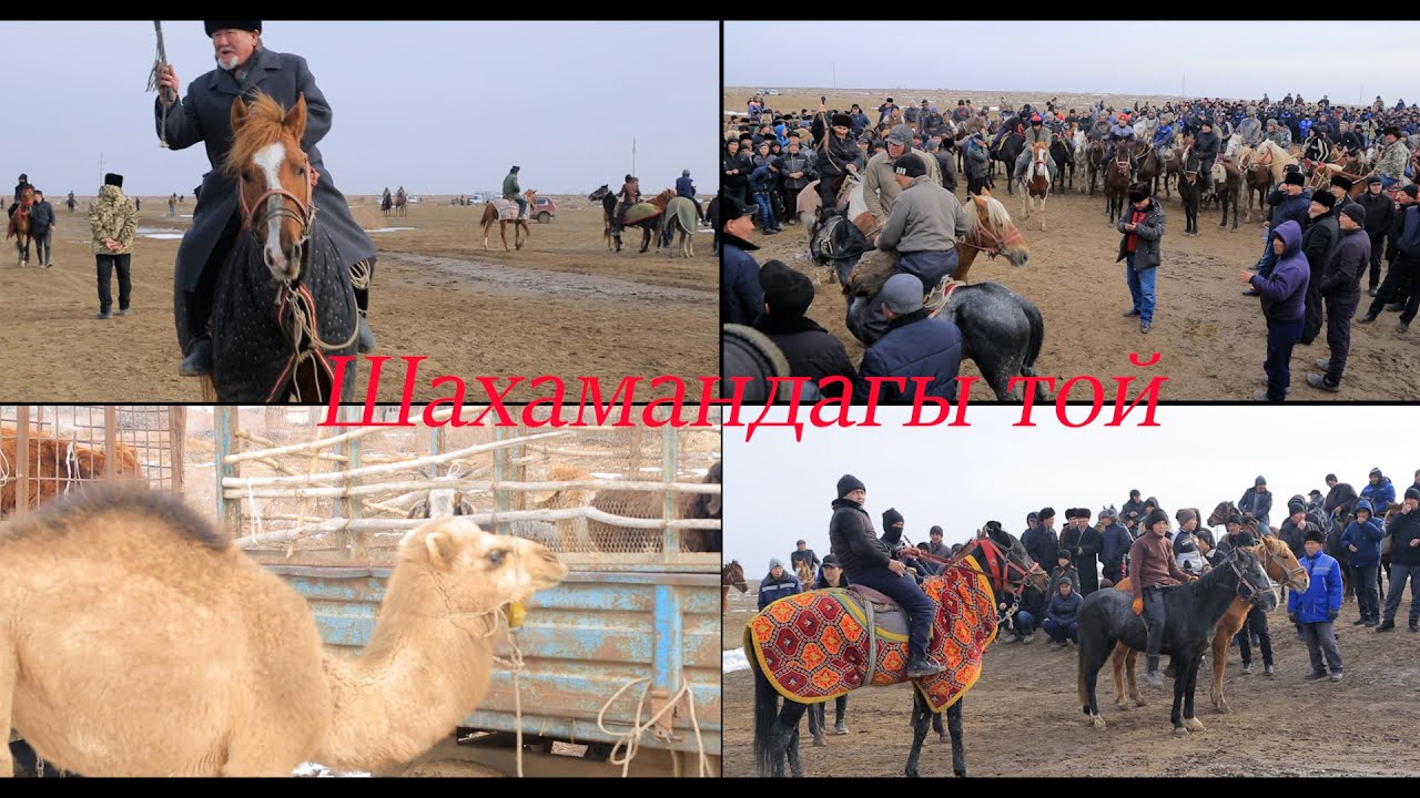 шабандозлар