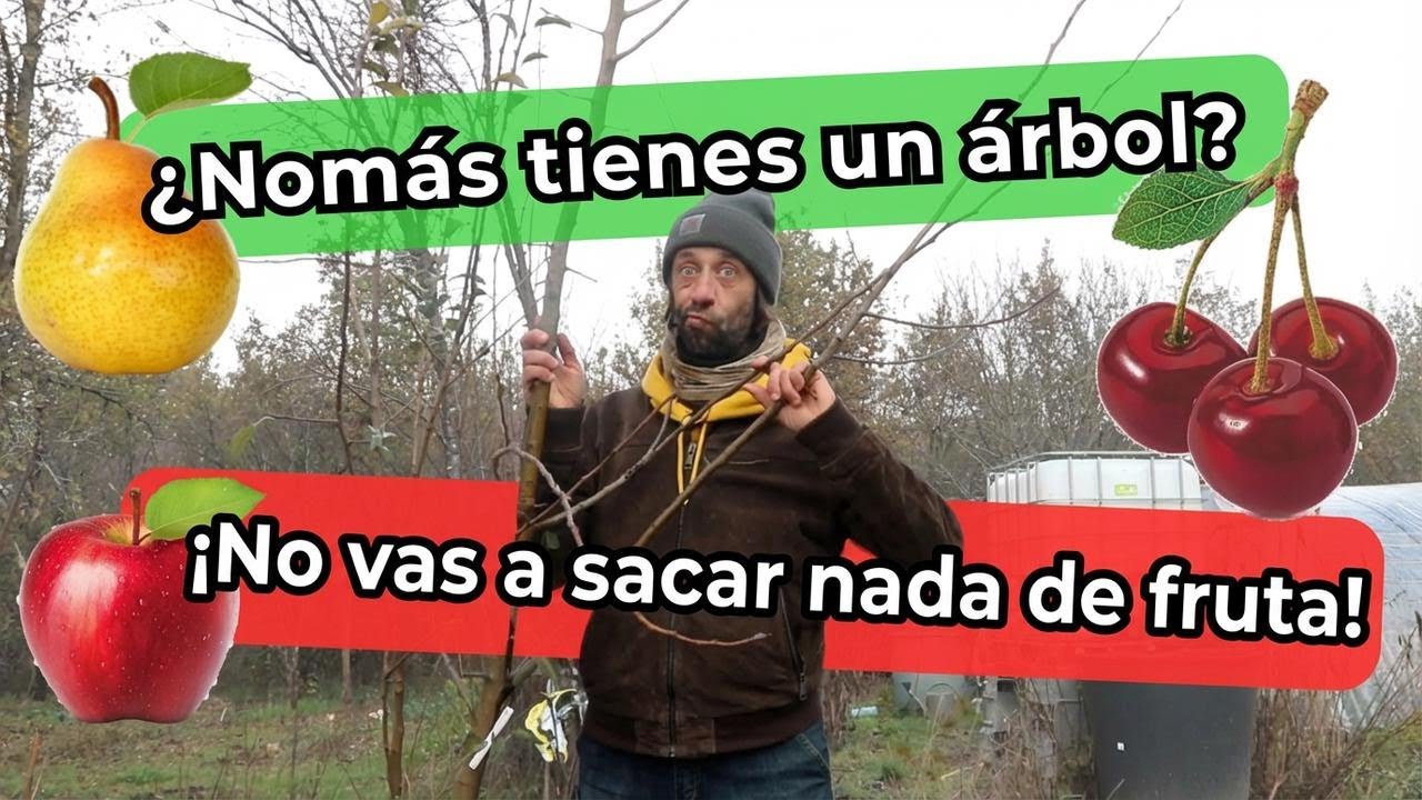 ¿De verdad necesitas dos árboles frutales para que den fruto? ¿Autofértiles o autoinfértiles?