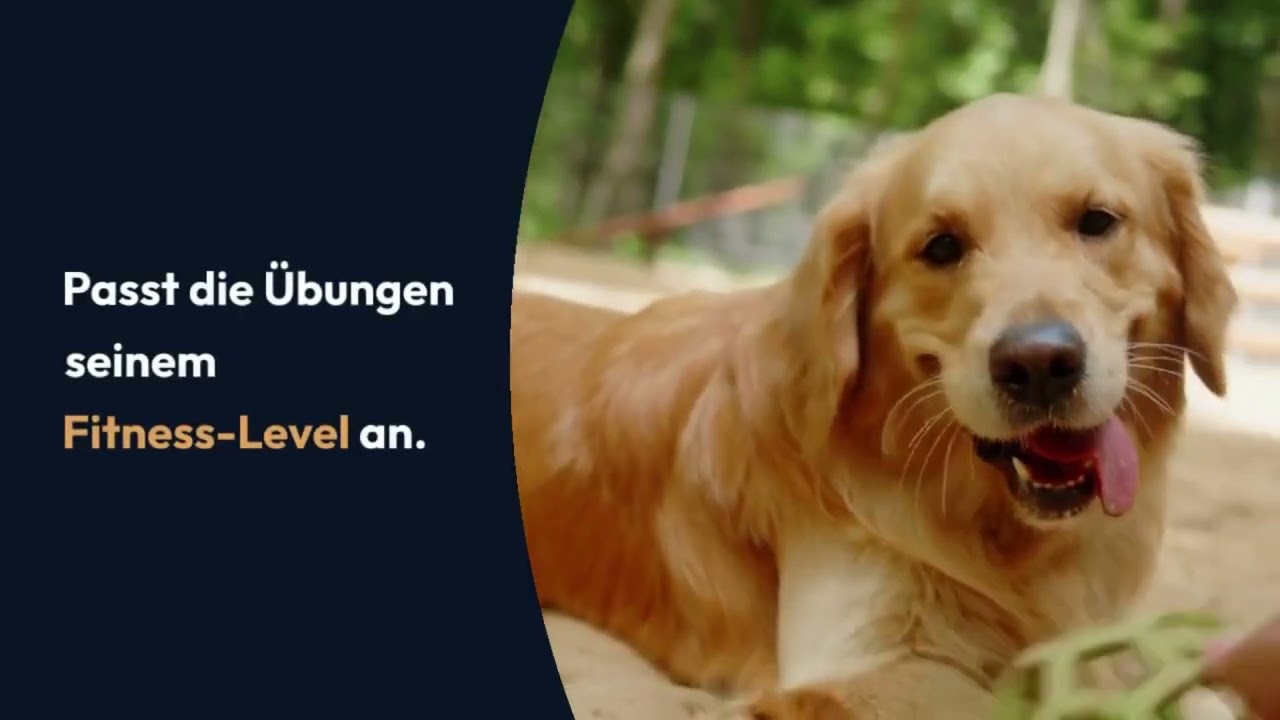Das gro&szlig;e Hundespa&szlig;-Handbuch: Tipps f&uuml;r jede Jahreszeit! #pets #animal #cat #dog #dogs #birds