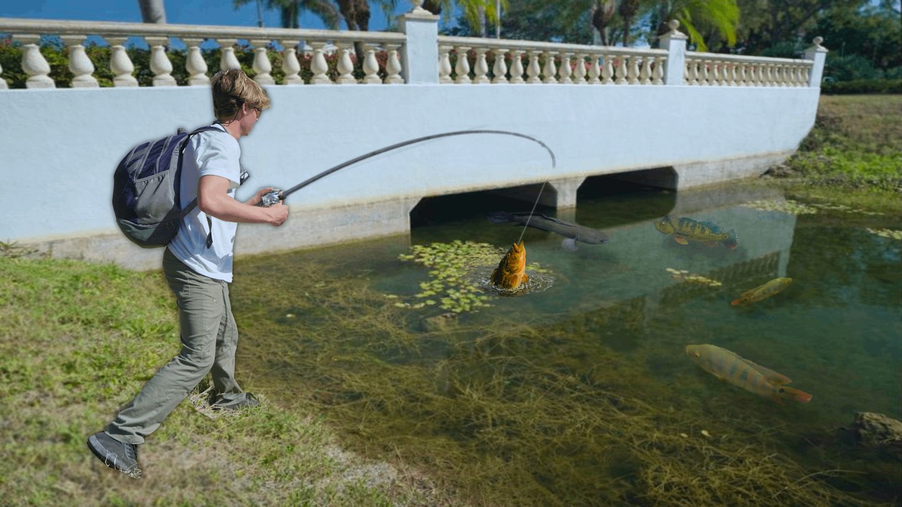 Fishing Backwaters of URBAN FLORIDA For Whatever BITES! (PB's)