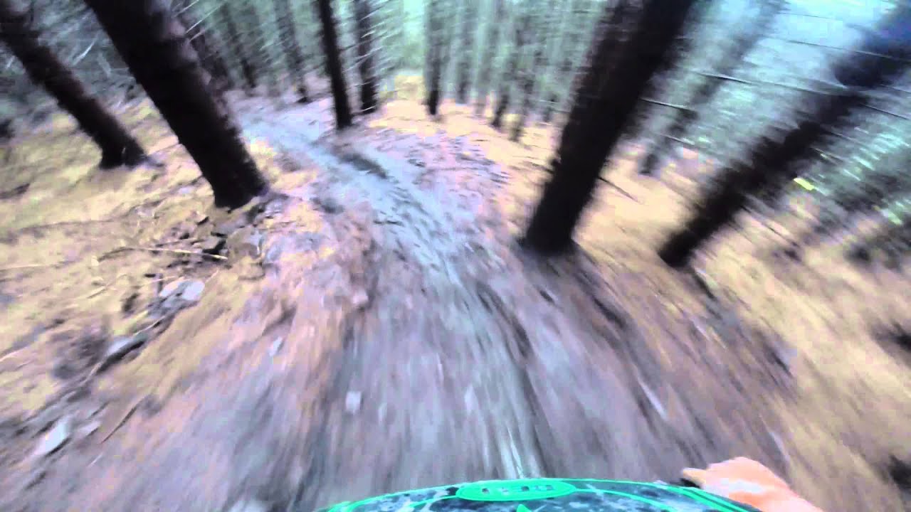 The Wolf pack highland fling (Glentress Forest)