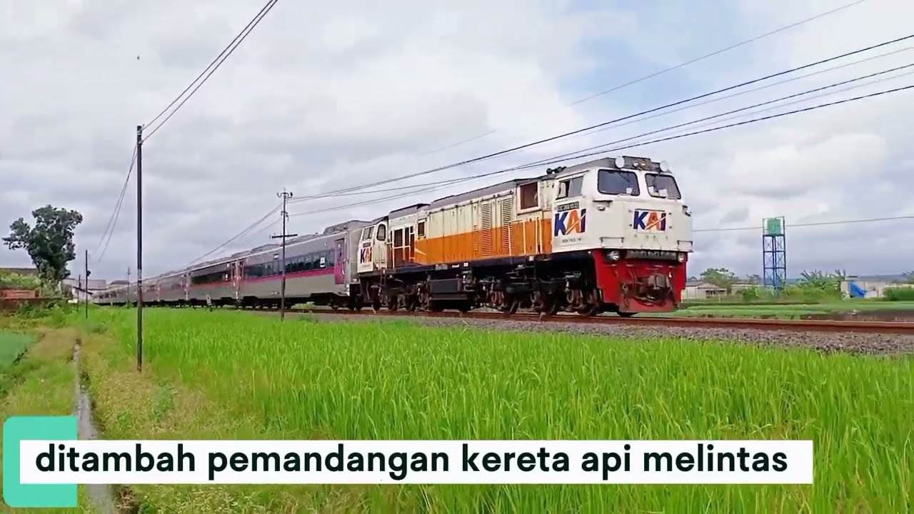 🌾🚆 Harmoni Sawah dan Bawang, Kereta Api Melintas Menyapa Alam#pemandanganindah #keretaapi 