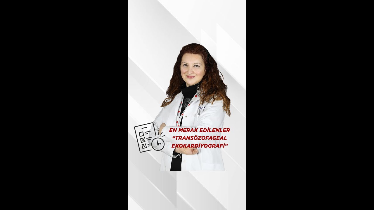 Transözofageal Ekokardiyografi (TEE) | Erdem Sağlık Grubu