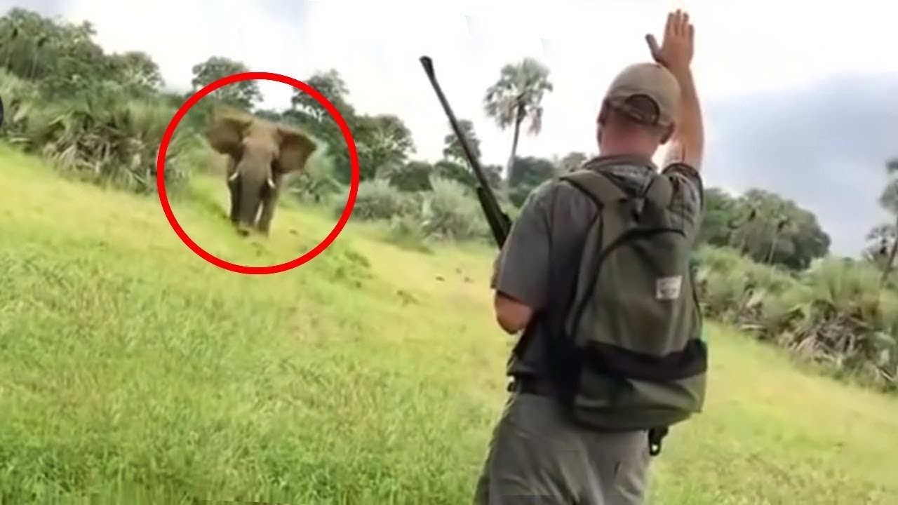 30 Times African Safari Trips Went Horribly Wrong (Part 2)