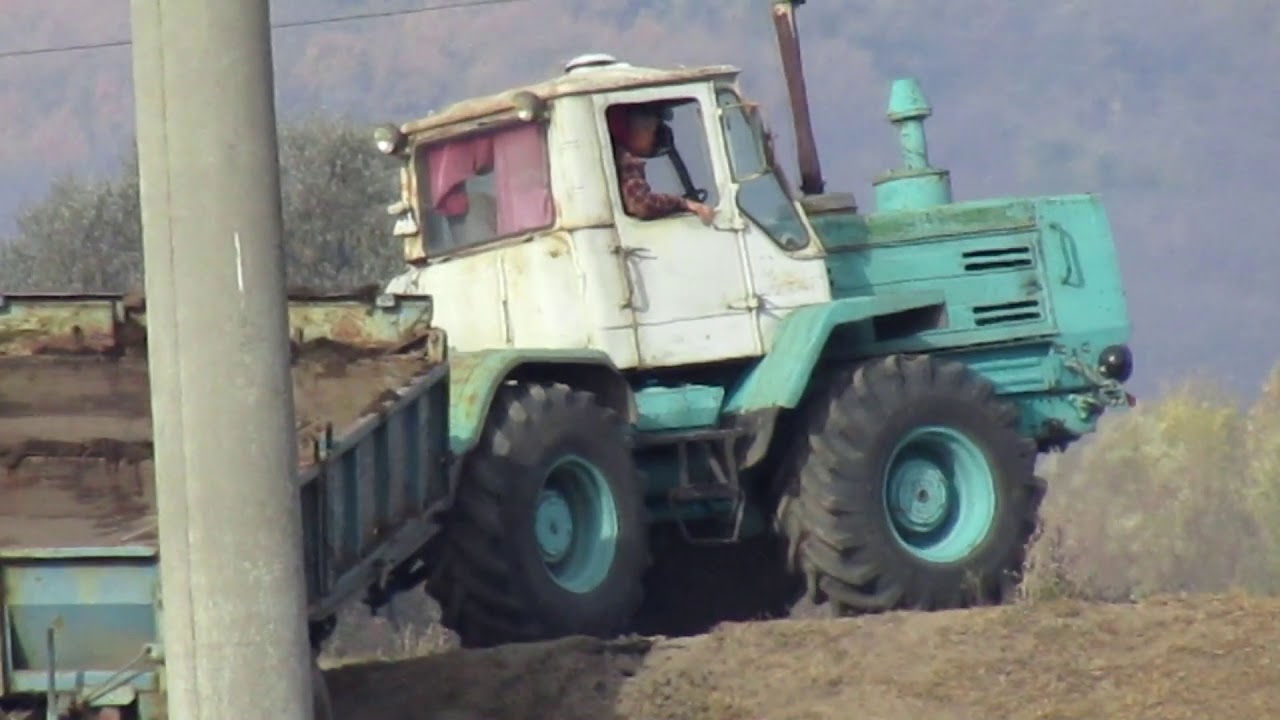 Т-150к таскает навоз на поле. последние  тёплые деньки.