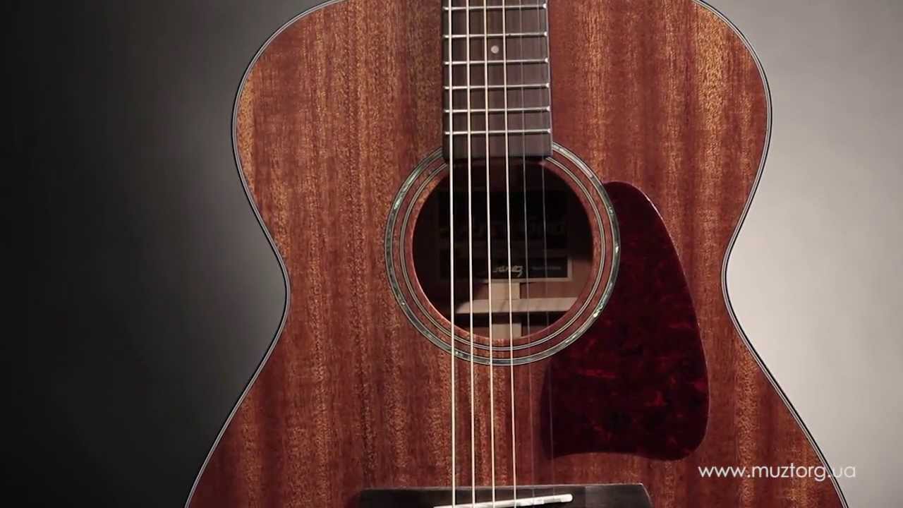 Обзор IBANEZ AC240