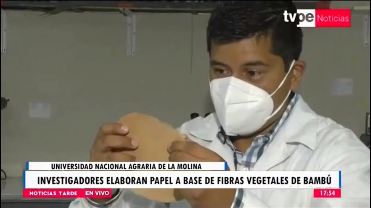 TV PER&Uacute;: Investigadores de la UNALM elaboran papel a base de fibras de bamb&uacute;