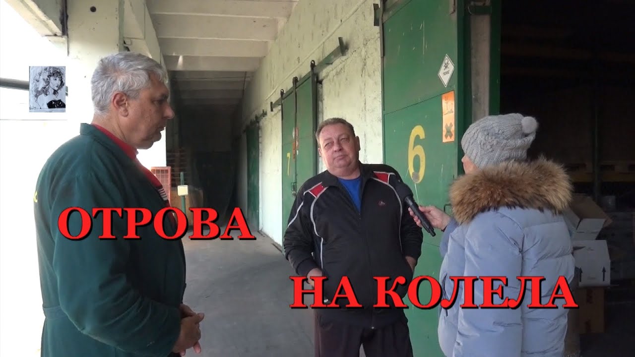 ОТРОВА НА КОЛЕЛА