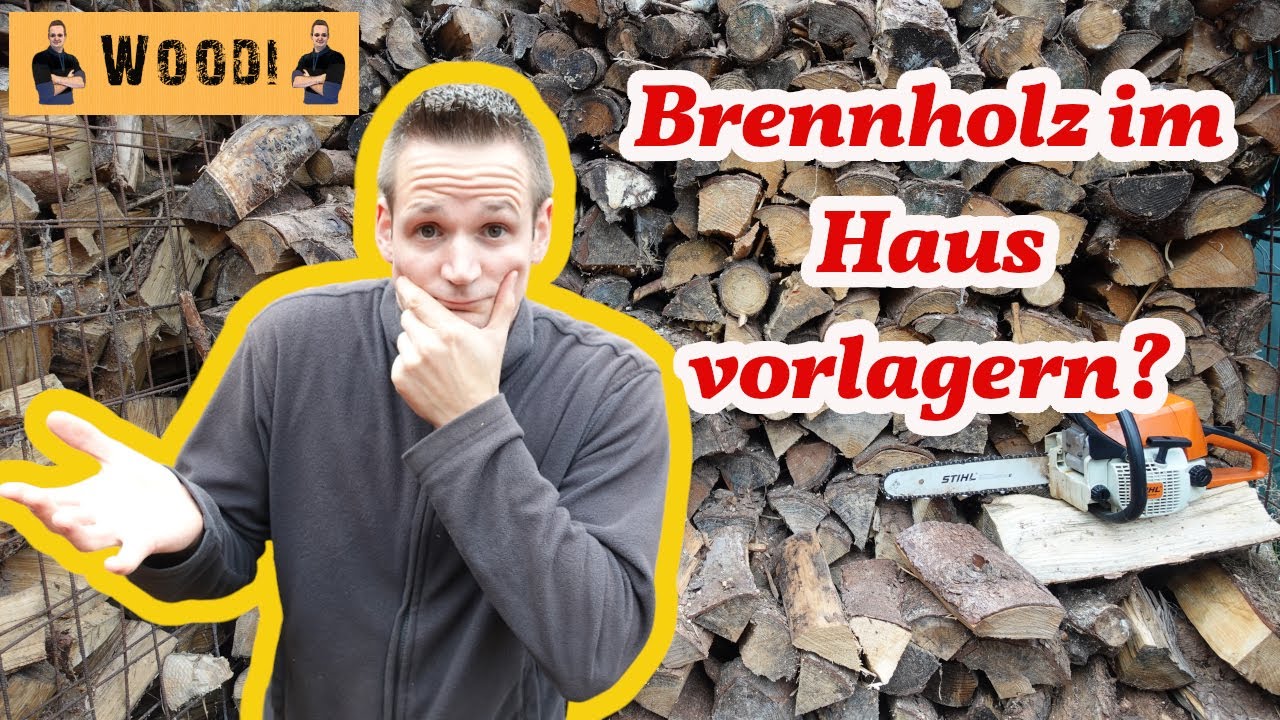Brennholz im Haus lagern? Sinnvoll? Woodi