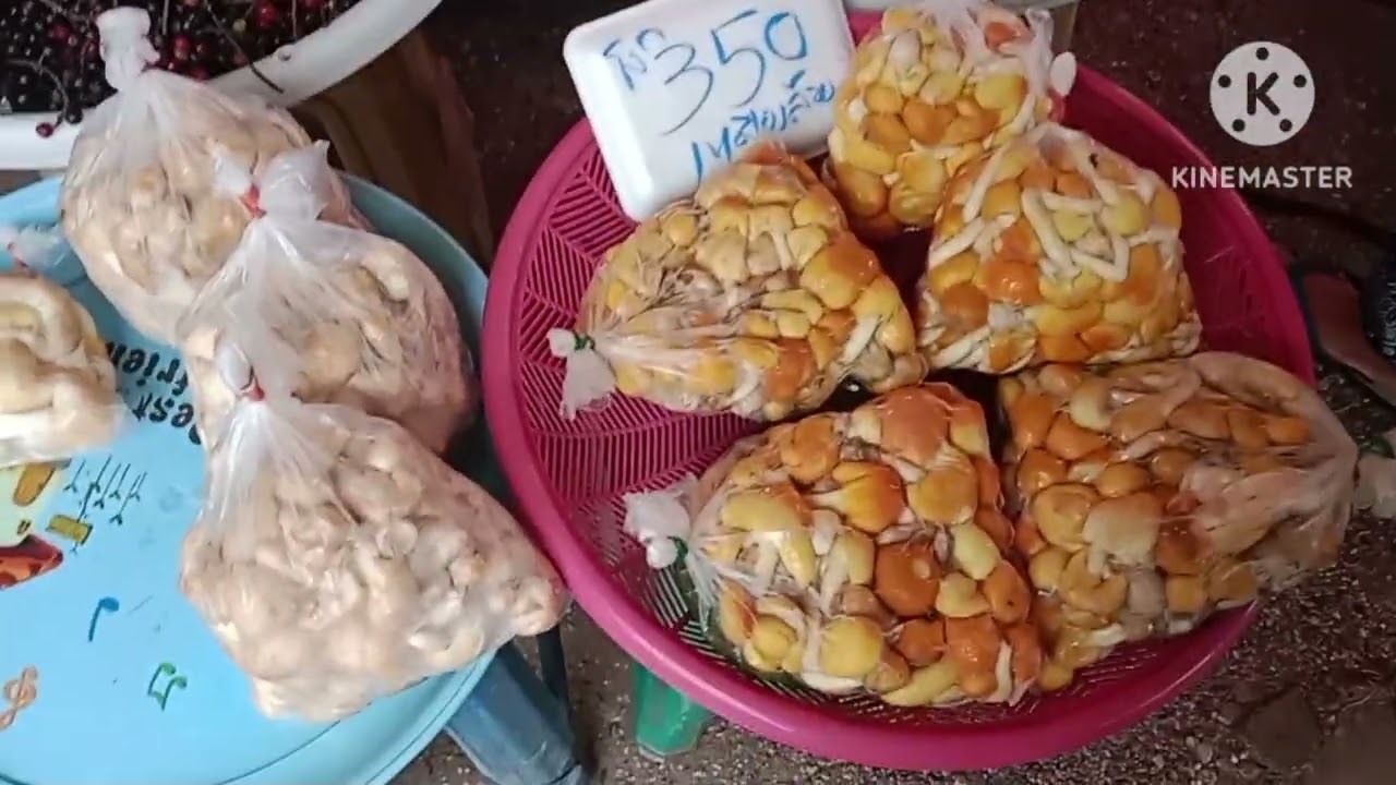 ตลาดบางบอนไทย🇹🇭ลาว🇱🇦คืกคื้นเหมือนเดีม ฝากทุกคนกดติดตามช่อง คำหวาด ชาแนล ให้แหน่เด้อ