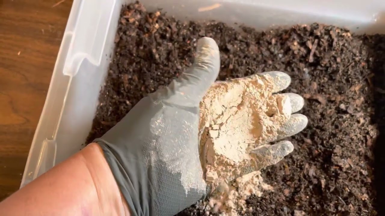 WORST UNBOXING Ever - Azomite Additive for My Worm Chow