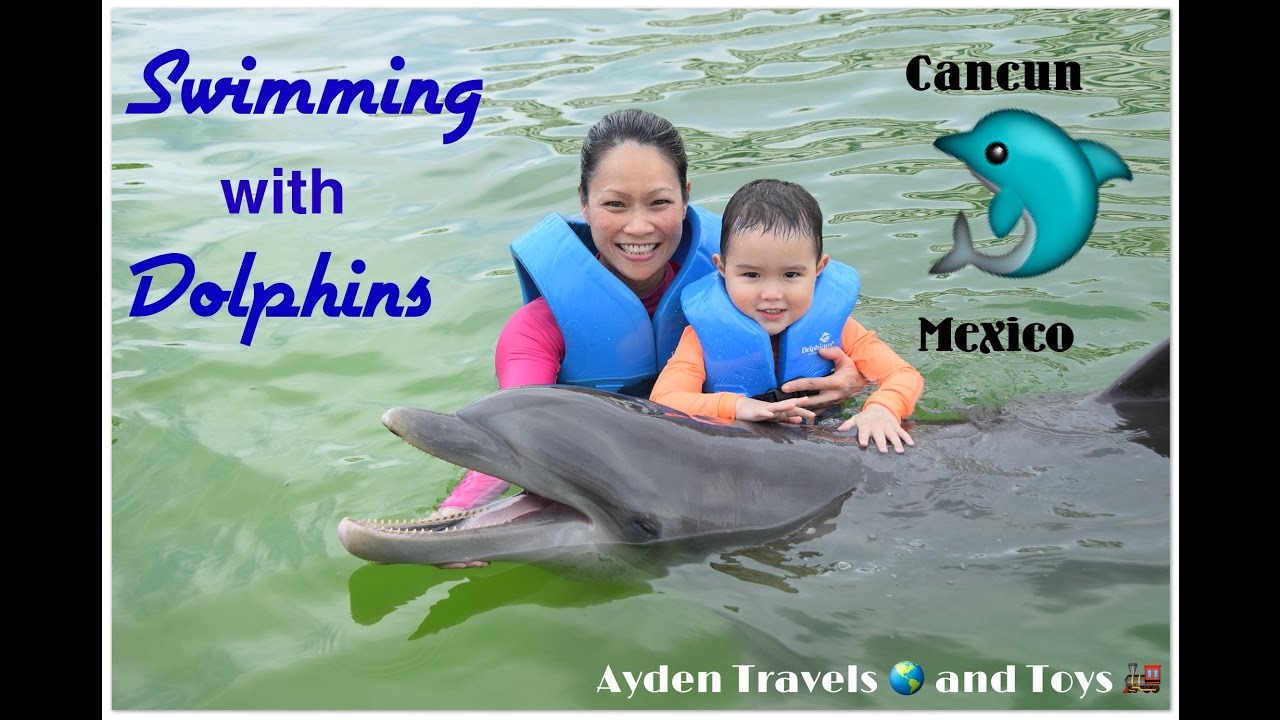 Swimming with Dolphins 🐬 | Hyatt Ziva Cancun, Mexico | Delphinus