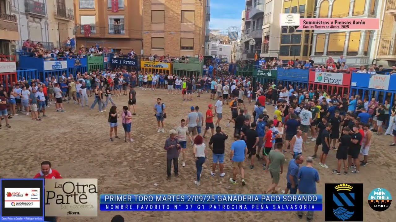 LLEGADA CAMPERA DE LA REINA Y CORTE DE HONOR A LA PLAZA, Y PRUEBA DEL PRIMER TORO , MARTES  2/08/25
