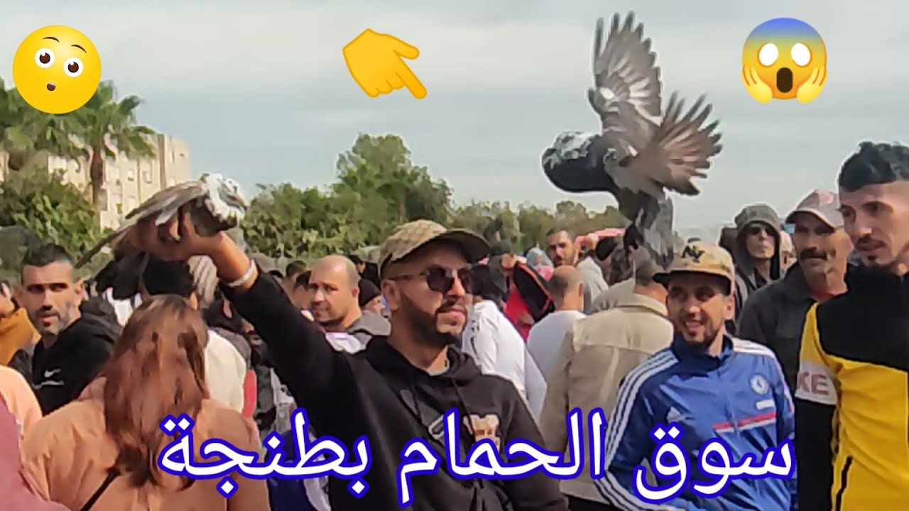 حمام 🤔🔥👈خيريسنو 😱👇ملاكي♥️👈 Paloma Picasso 🇨🇵🇪🇸↙️🔥🇩🇿🇲🇦