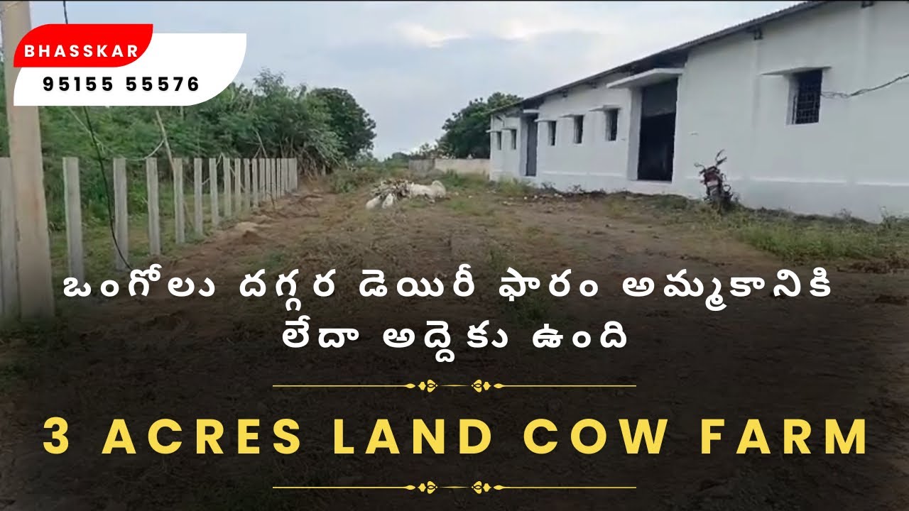 Land (SOLD OUT )3 Acres cows farm for sale Ongole || direct owner property