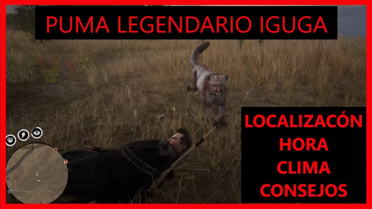 Puma Legendario IGUGA 🐱 Ubicación + Hora + Clima + CONSEJO